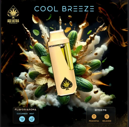 Acheter-Ace-Cool-Breeze-2G-510x500 Ace Cool Breeze 2G